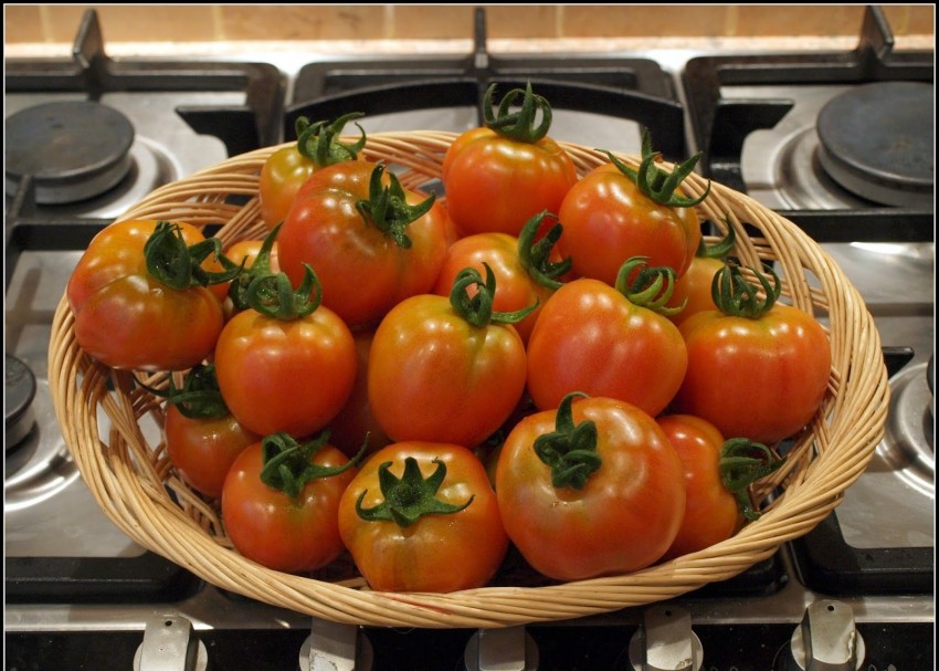 Как хранить помидоры в домашних условиях. Хранение помидоров. Как хранить помидоры. Помидор сохранить. Семена томата хранение.