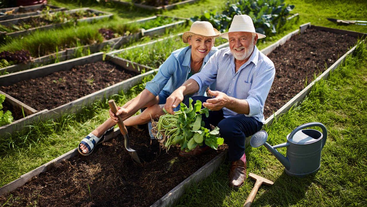 Как создать огород без хлопот для пожилых: 8 простых принципов